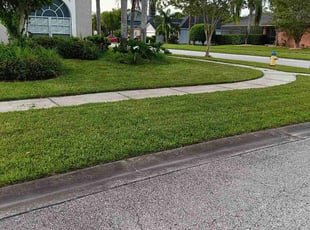Cynthia M.'s turf maintenance service result