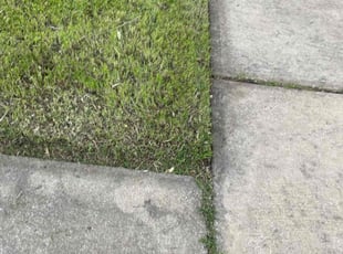 Juan B.'s grass maintenance service result