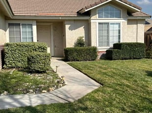 Katharine B.'s Bush Trimming service result
