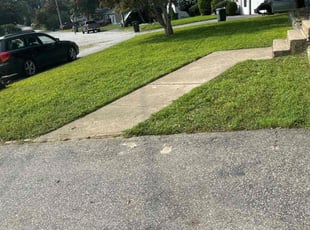 Dean R.'s lawn service service result