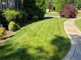 Shari L.'s lawn care service result
