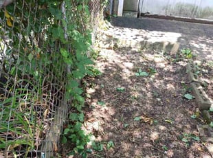 Scott E.'s Bush Trimming service result