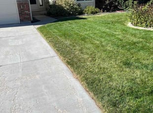 Louis C.'s lawn service service result