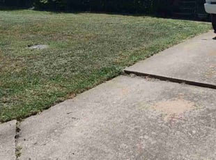 Harry F.'s grass maintenance service result