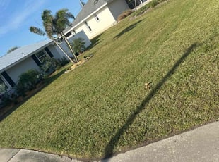 Lisa M.'s lawn service service result