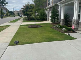 Arthur C.'s landscaping service result