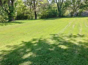 James J.'s lawn care services service result