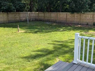 Darlene D.'s lawn maintenance service result