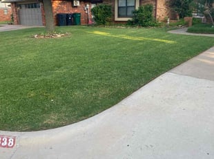 Matthew H.'s grass maintenance service result