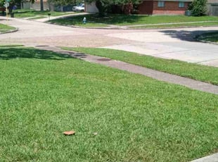 Roman C.'s yard service service result
