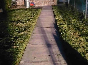Minerva V.'s grass cutting service result