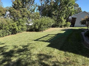 Dominique B.'s grass cutting service result