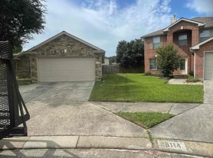 Jack N.'s lawn care services service result