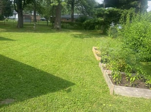 Randi M.'s lawn service service result