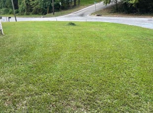 Harvey I.'s grass cutting service result