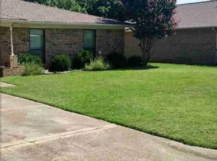 Lynn E.'s turf maintenance service result