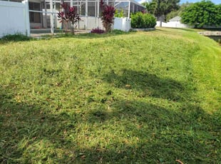 Amy J.'s lawn care service result