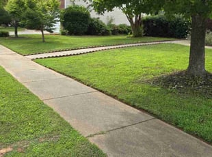 Donna K.'s lawn care service result