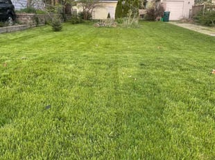Margaret T.'s turf maintenance service result