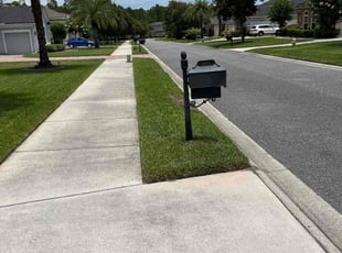 Marylyn R.'s lawn maintenance service result