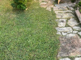 Marlo N.'s lawn service service result
