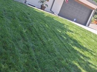 Joann C.'s grass maintenance service result