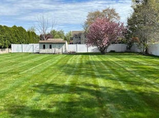 Curtis J.'s lawn maintenance service result
