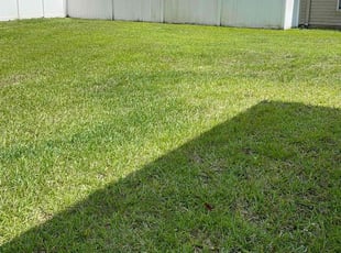 Carla G.'s lawn maintenance service result