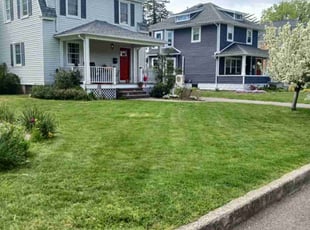 Ron W.'s lawn care service result