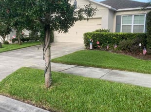 Lisa S.'s lawn service service result