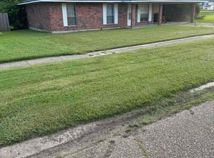 Dennis B.'s turf maintenance service result