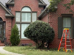 Cyndi J.'s Bush Trimming service result