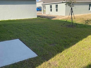 Lindsey P.'s lawn maintenance service result