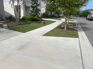 Ed R.'s lawn care service result