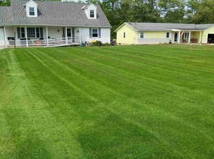 David S.'s turf maintenance service result