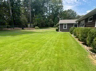 Sacoyia W.'s turf care service result