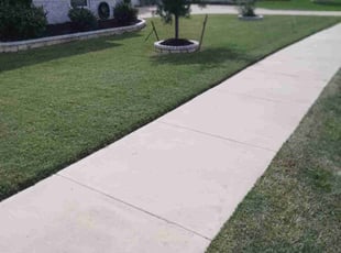 Marilyn S.'s turf care service result