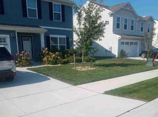 Tammy M.'s lawn care service result
