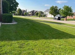 Angela N.'s grass maintenance service result