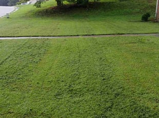 Rebecca M.'s lawn service service result
