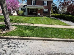 Lewis R.'s lawn care services service result