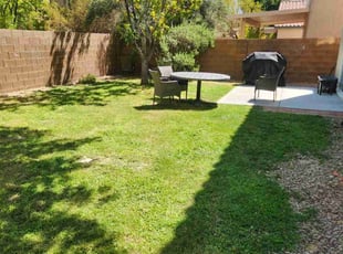 Dan W.'s turf maintenance service result