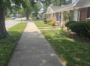 Scott M.'s turf maintenance service result