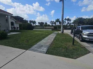 Andrea R.'s yard care service result