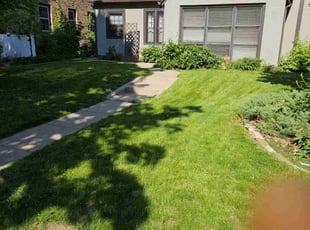 Dianne R.'s lawn care service result