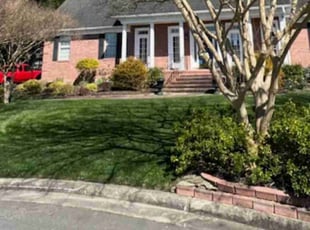 Gilbert B.'s lawn care service result