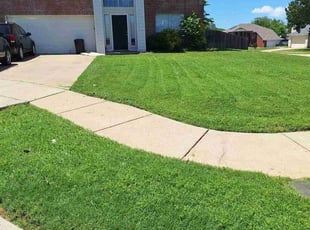 Natalia C.'s lawn care service result