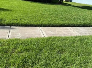 Allyson G.'s lawn maintenance service result