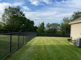 Craig H.'s grass maintenance service result