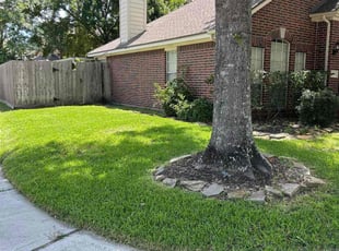 Anthony W.'s lawn service service result